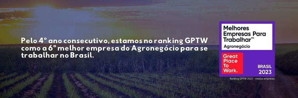 Ranking Brasil
